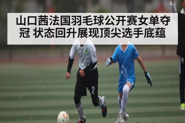 山口茜法国羽毛球公开赛女单夺冠 状态回升展现顶尖选手底蕴 - leyu